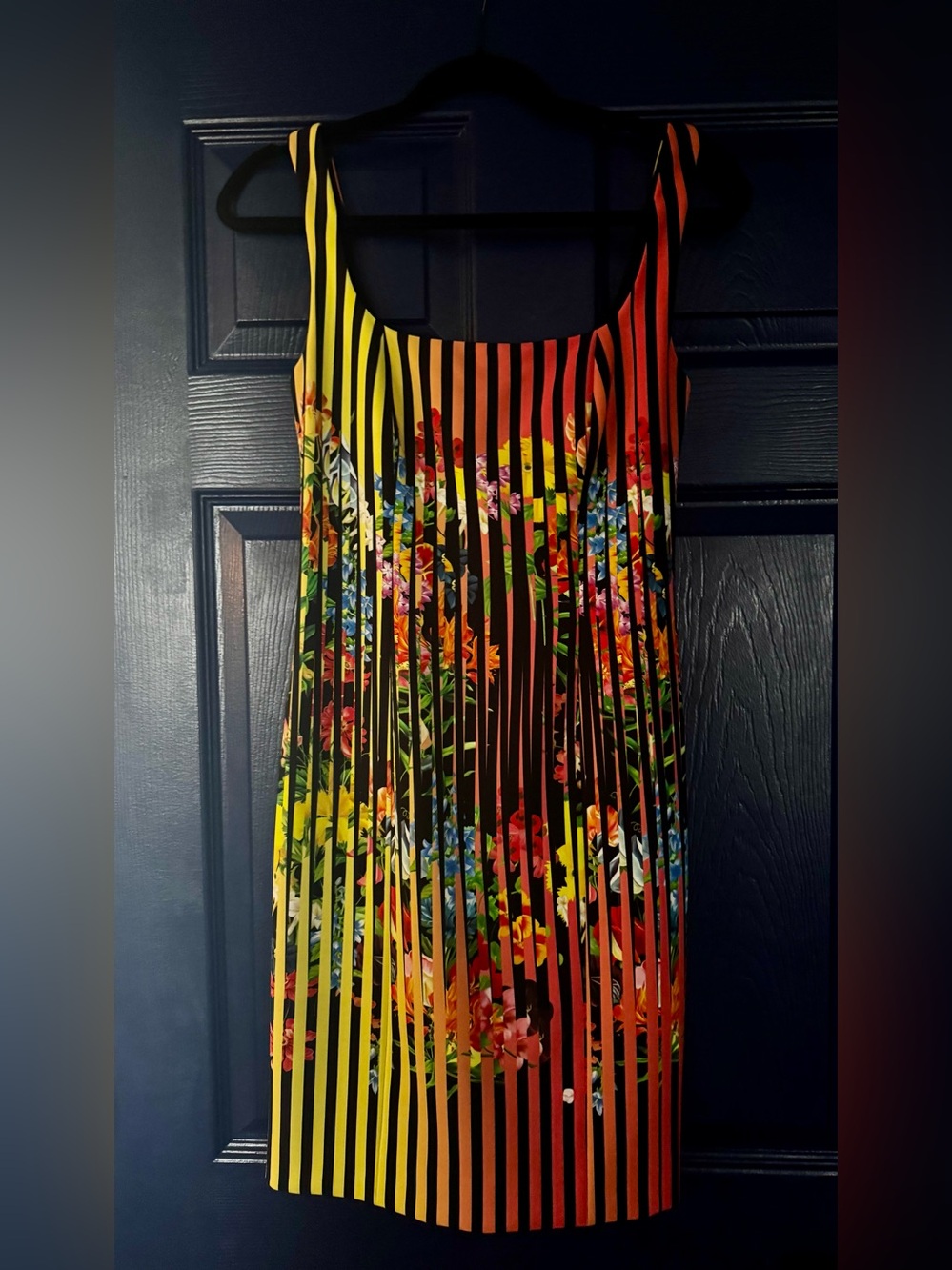 Maria Katrantzou Floral Stripe Dress in Black and Multicolor